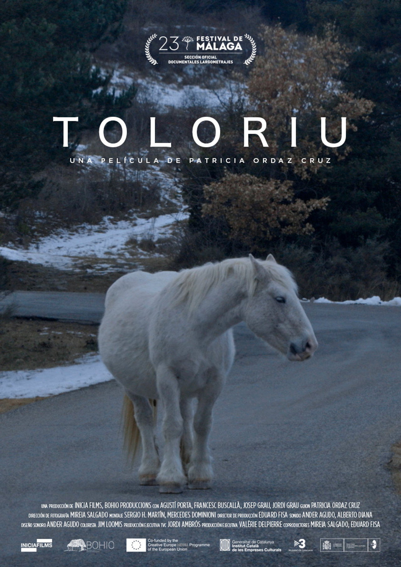 Toloriu (2019)