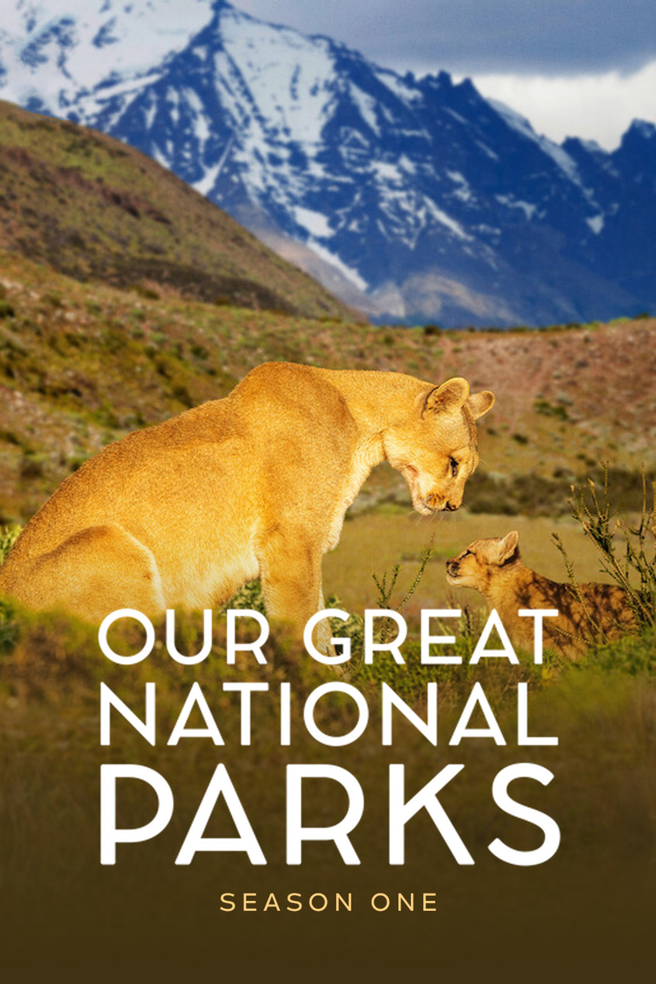 Our Great National Parks (2024) Hindi Season 1 Complete backdrop