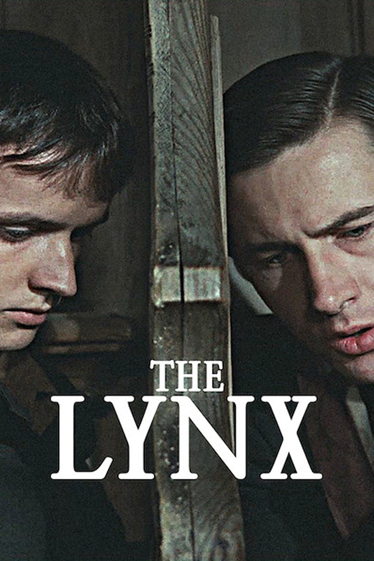 The Lynx
