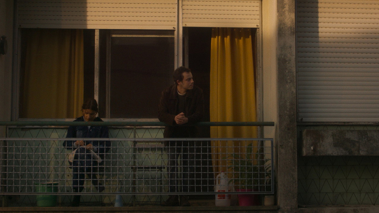 Tinta Seca à Noite still 2