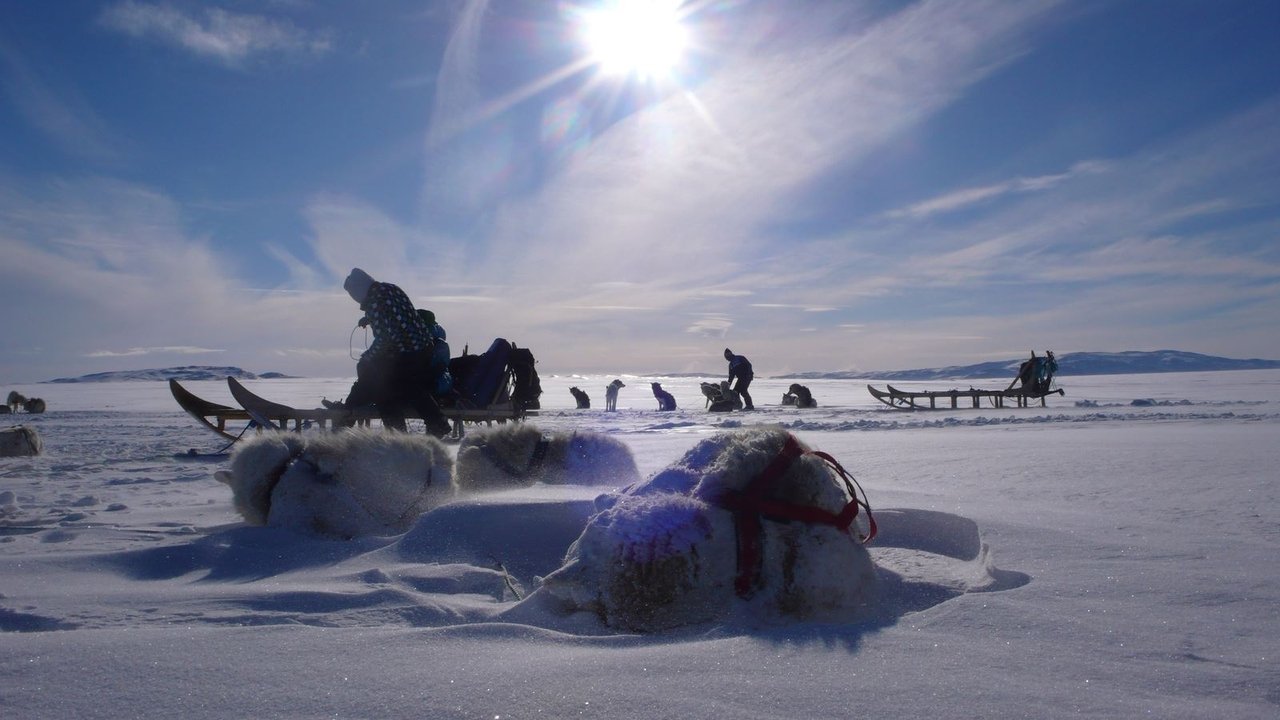 Là où naissent les icebergs (2013)