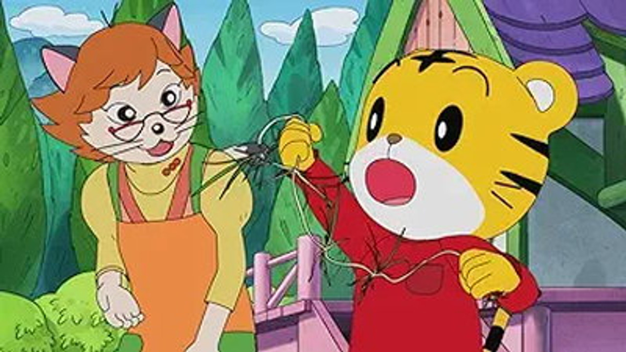 Image Shimajiro: A Wonderful Adventure