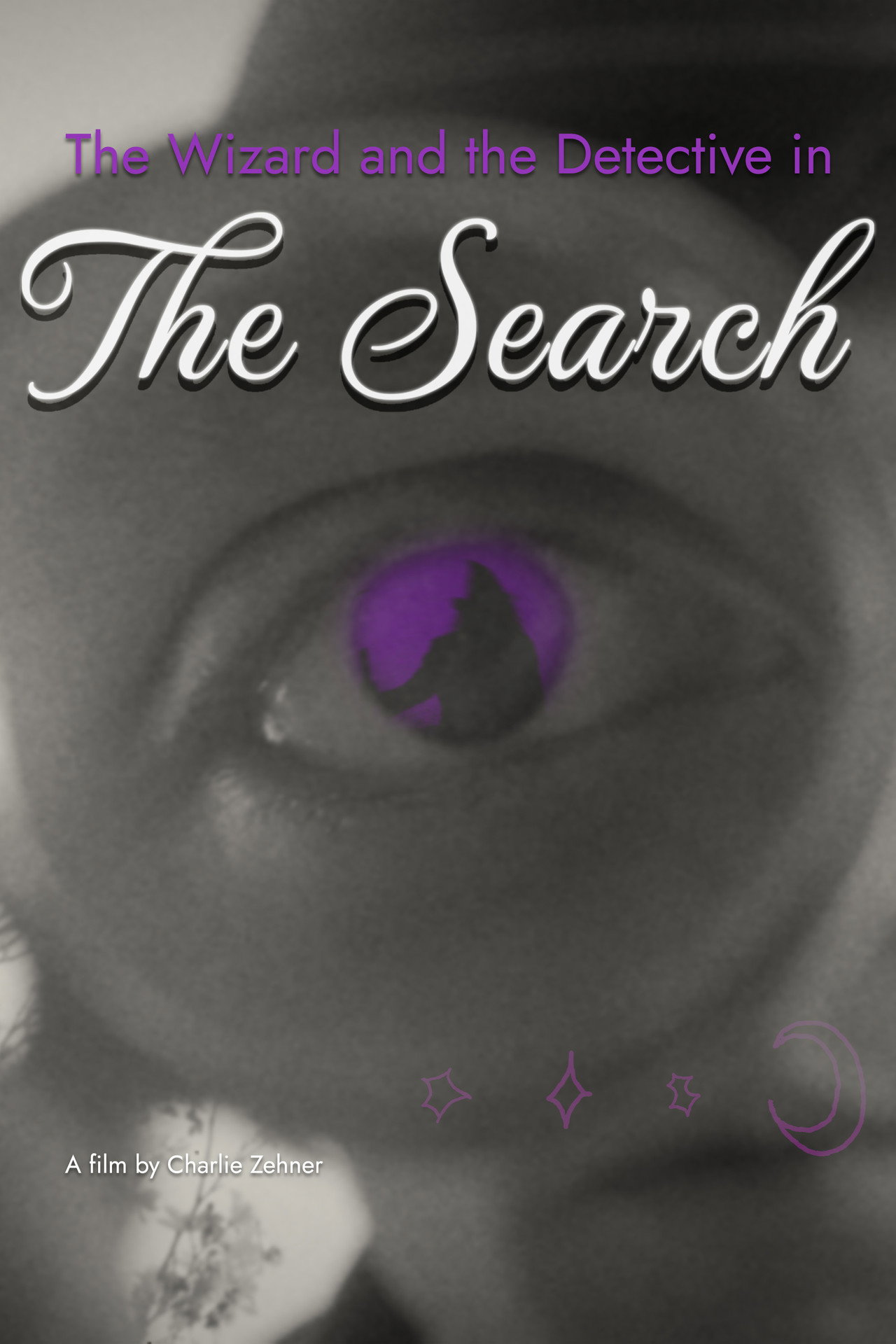 The Wizard and the Detective in the Search filmaffisch