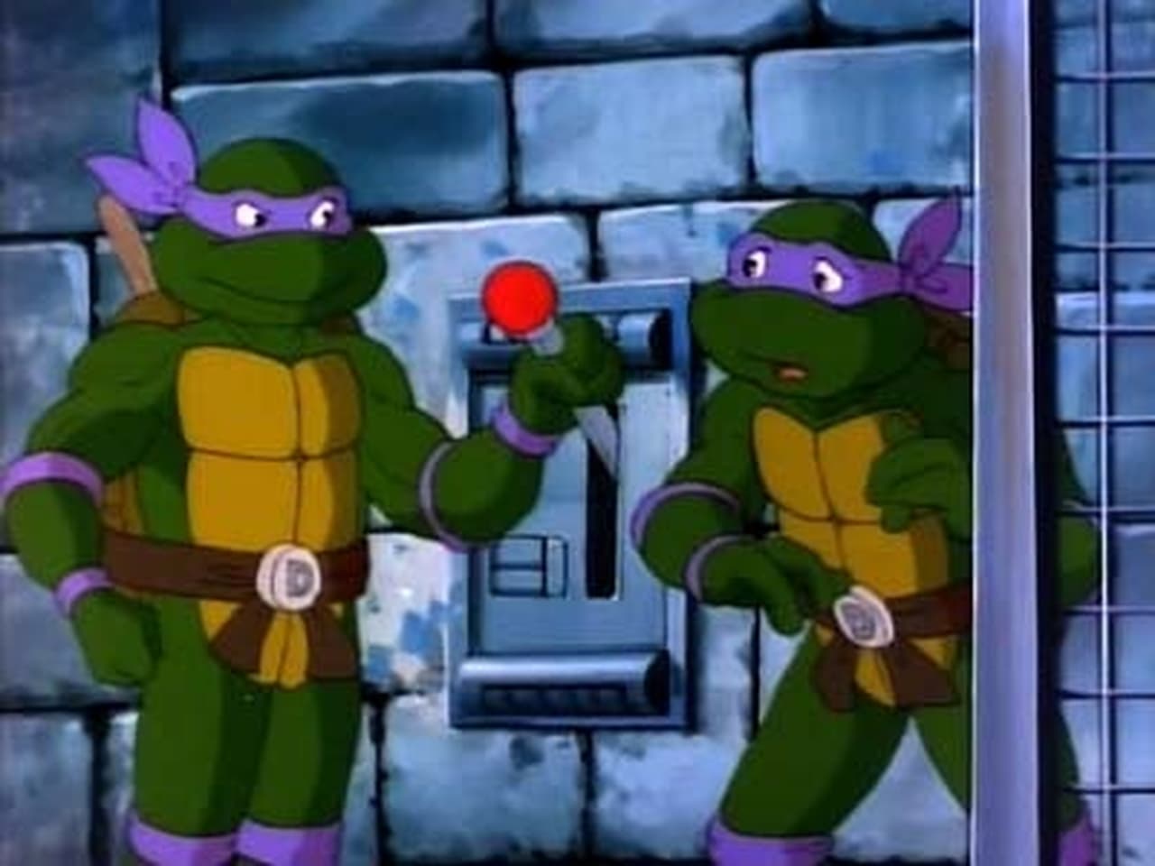Teenage Mutant Ninja Turtles - Season 5 Episode 12 : Donatello's Duplicate