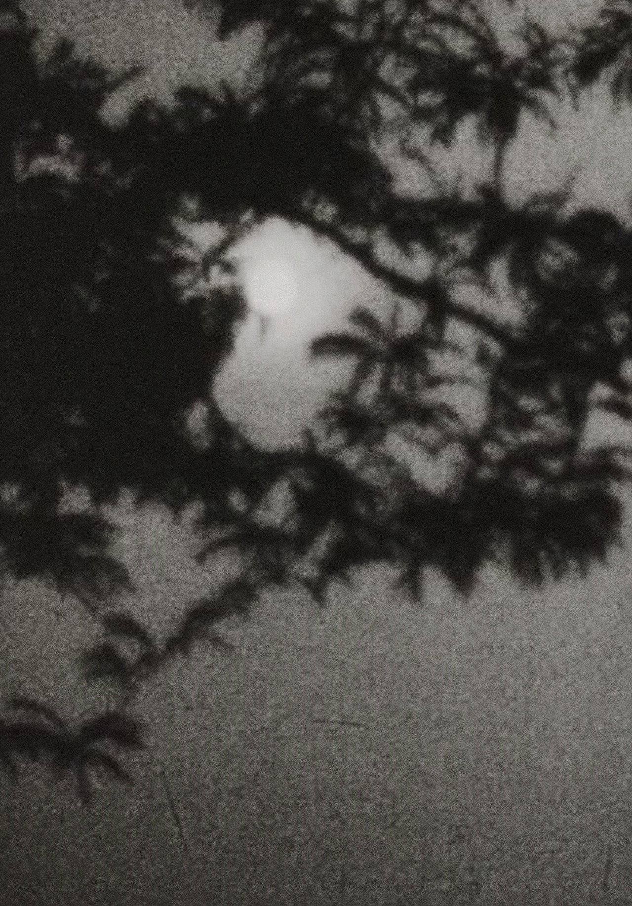 Moonplay filmaffisch
