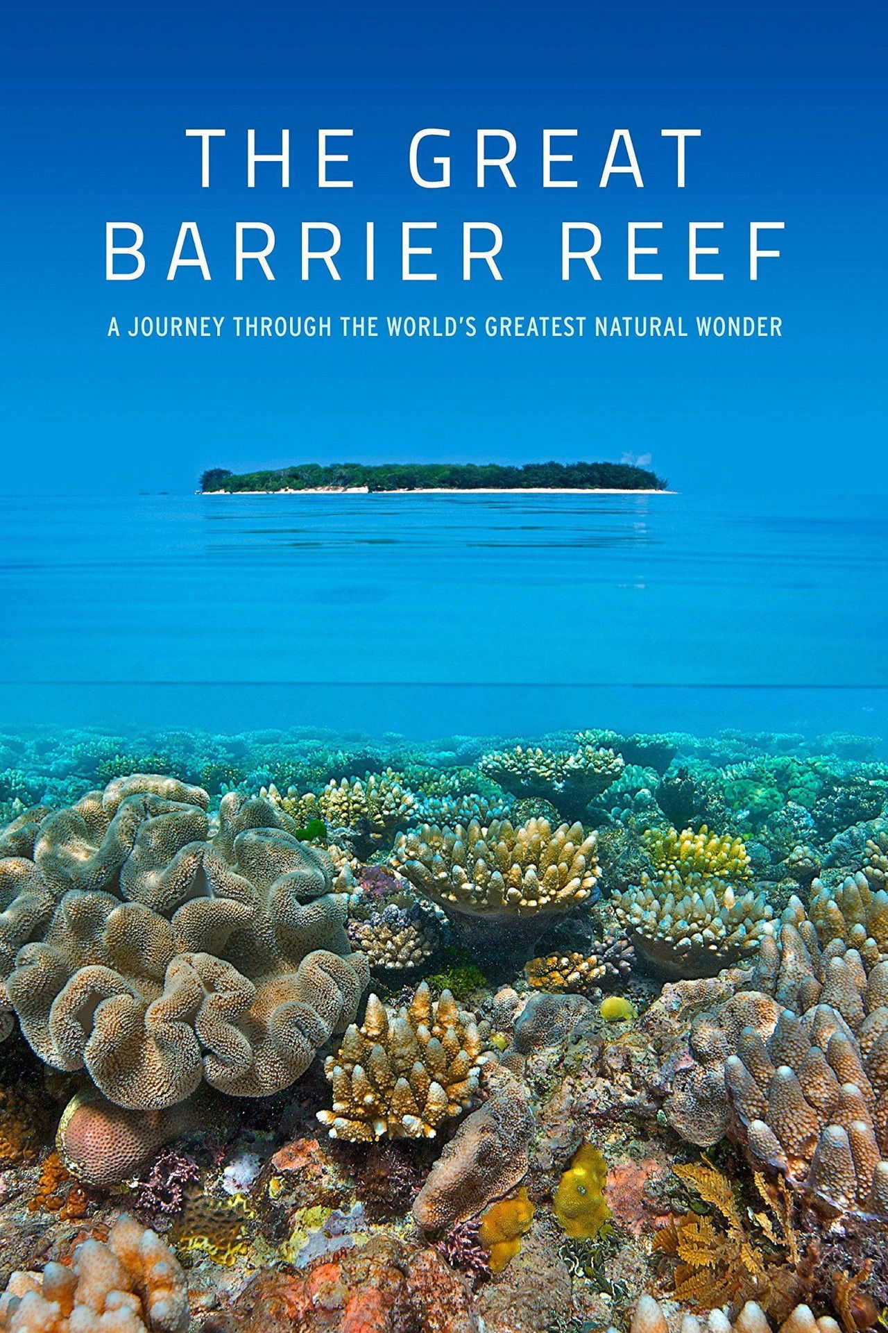 The Great Barrier Reef Backdrop