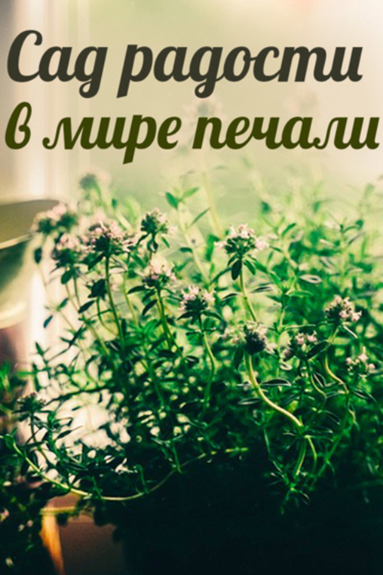 Сад радости в мире печали filmaffisch