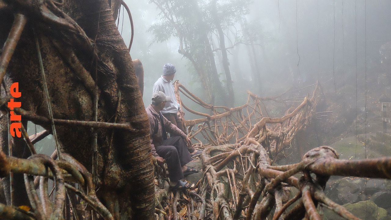 ARTE Reportage - Season 20 Episode 9 : Episode 9