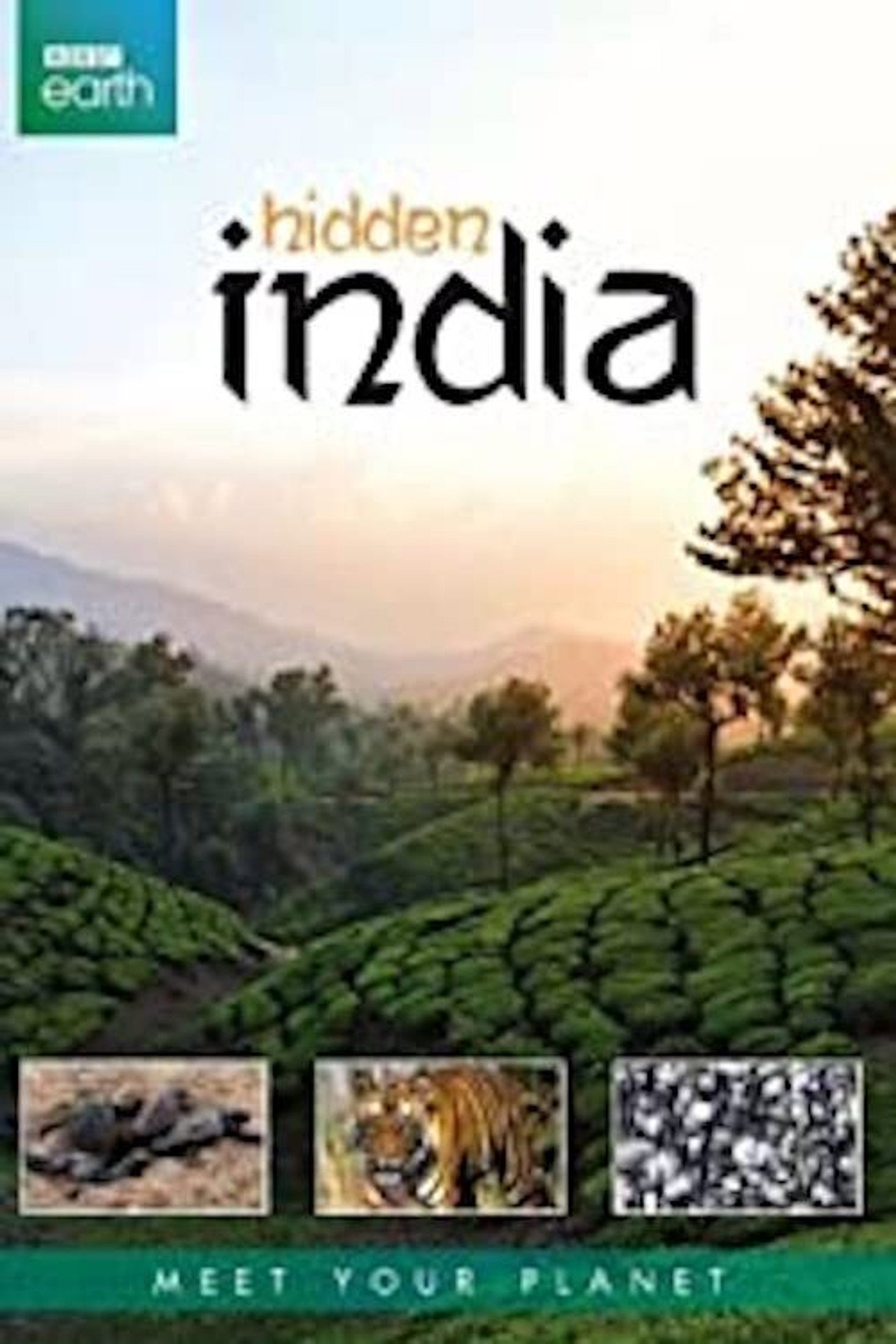 Rejtett India – plakát 4