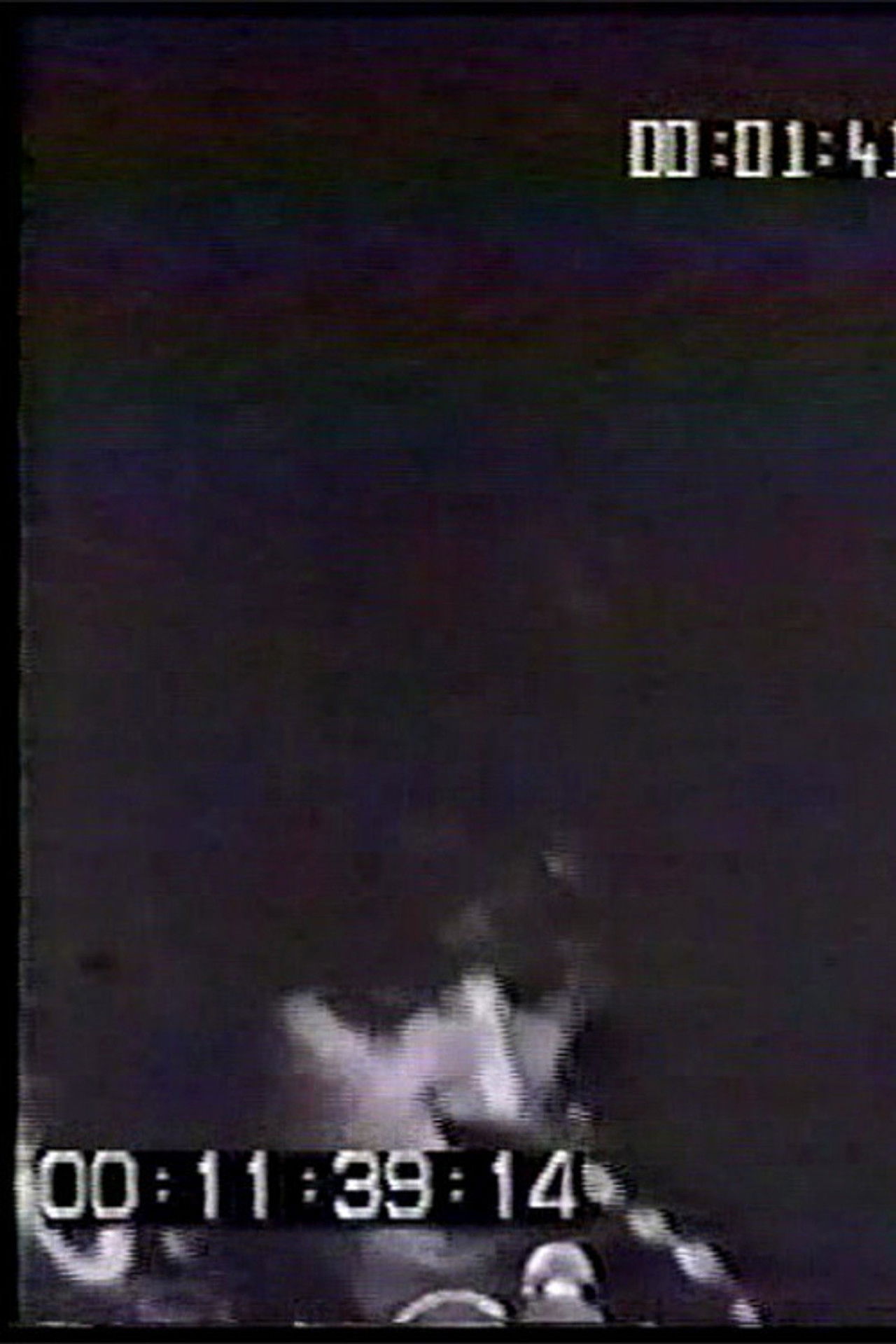 Bouton Rouge Backdrop