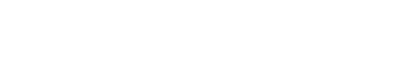 Новичок