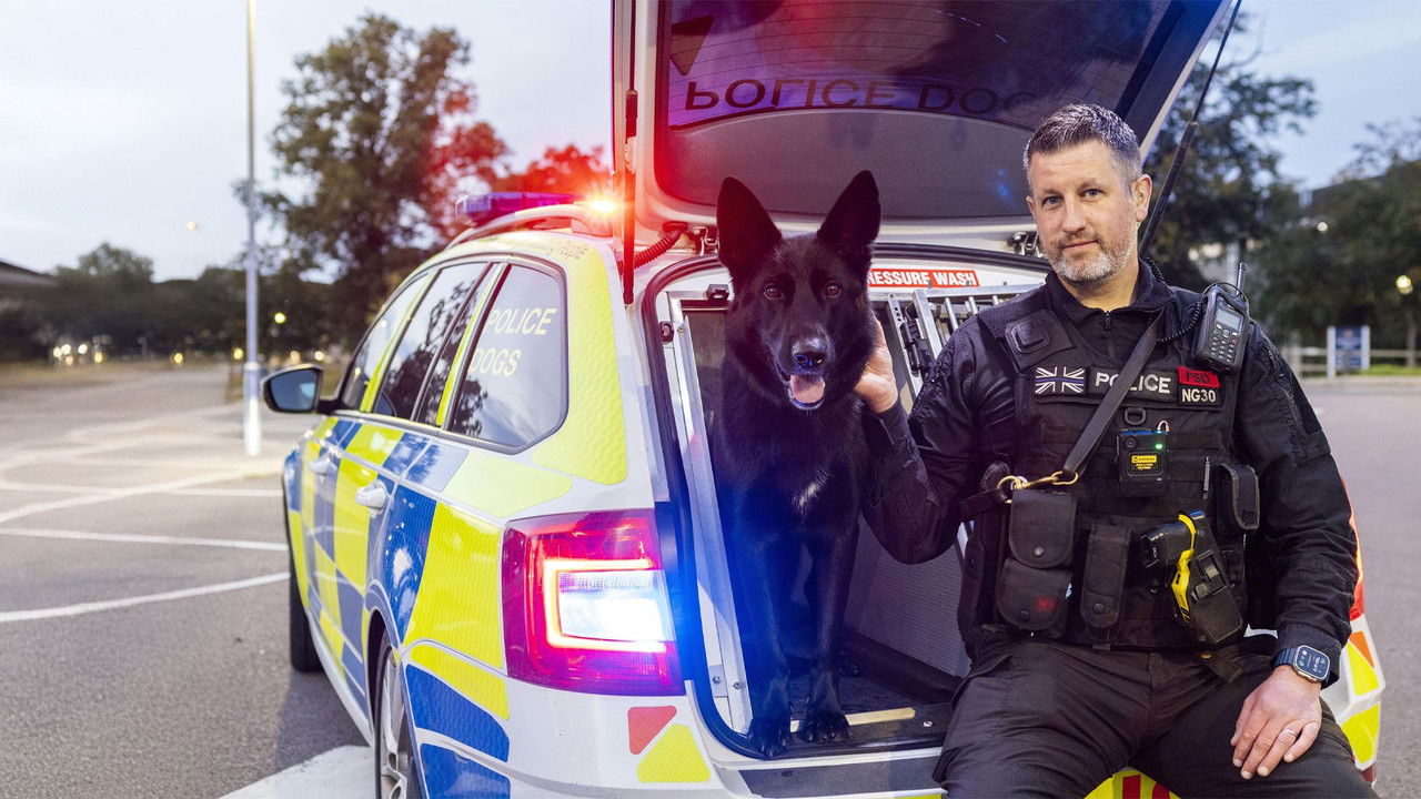 Police Interceptors — Épisode 1