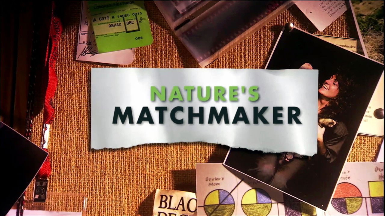 Nature's Matchmaker background