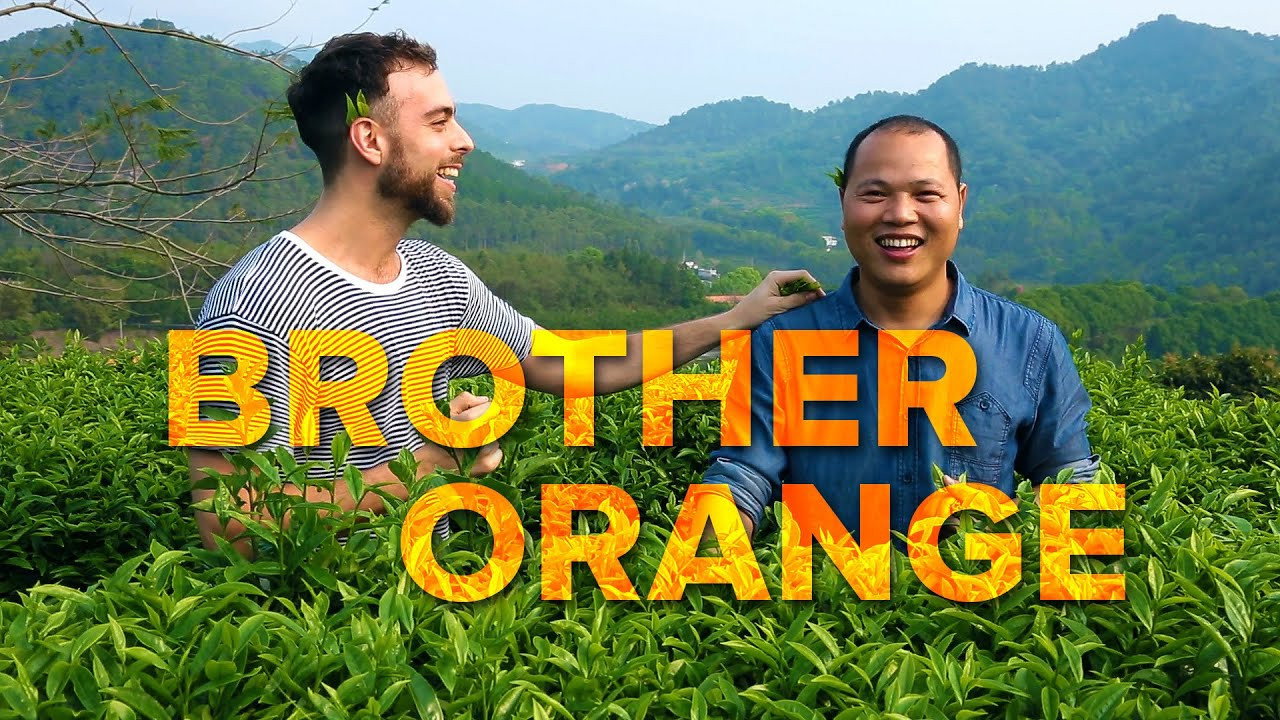 Immagine di copertina del trailer di Brother Orange