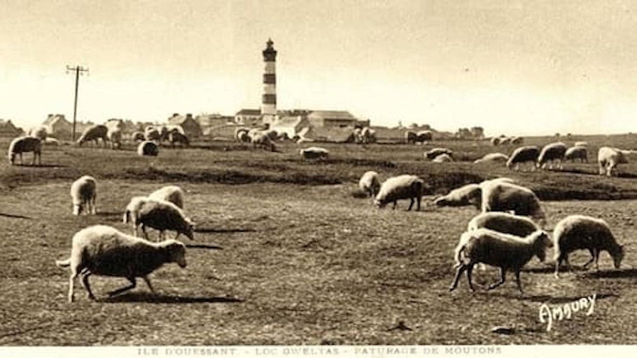 There was oil in Ouessant island still 2