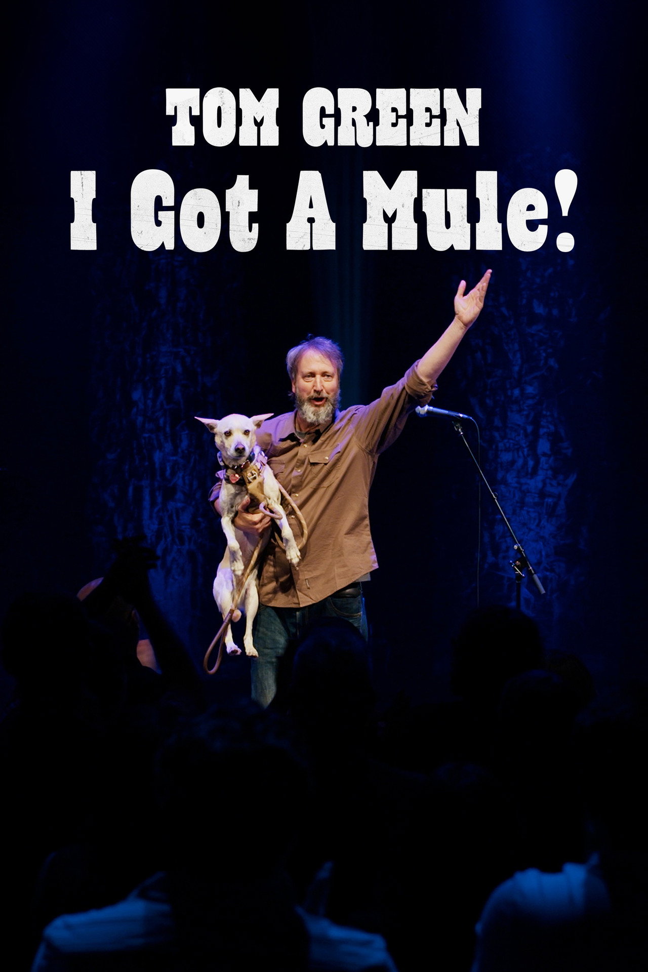 Tom Green: I Got a Mule! filmaffisch