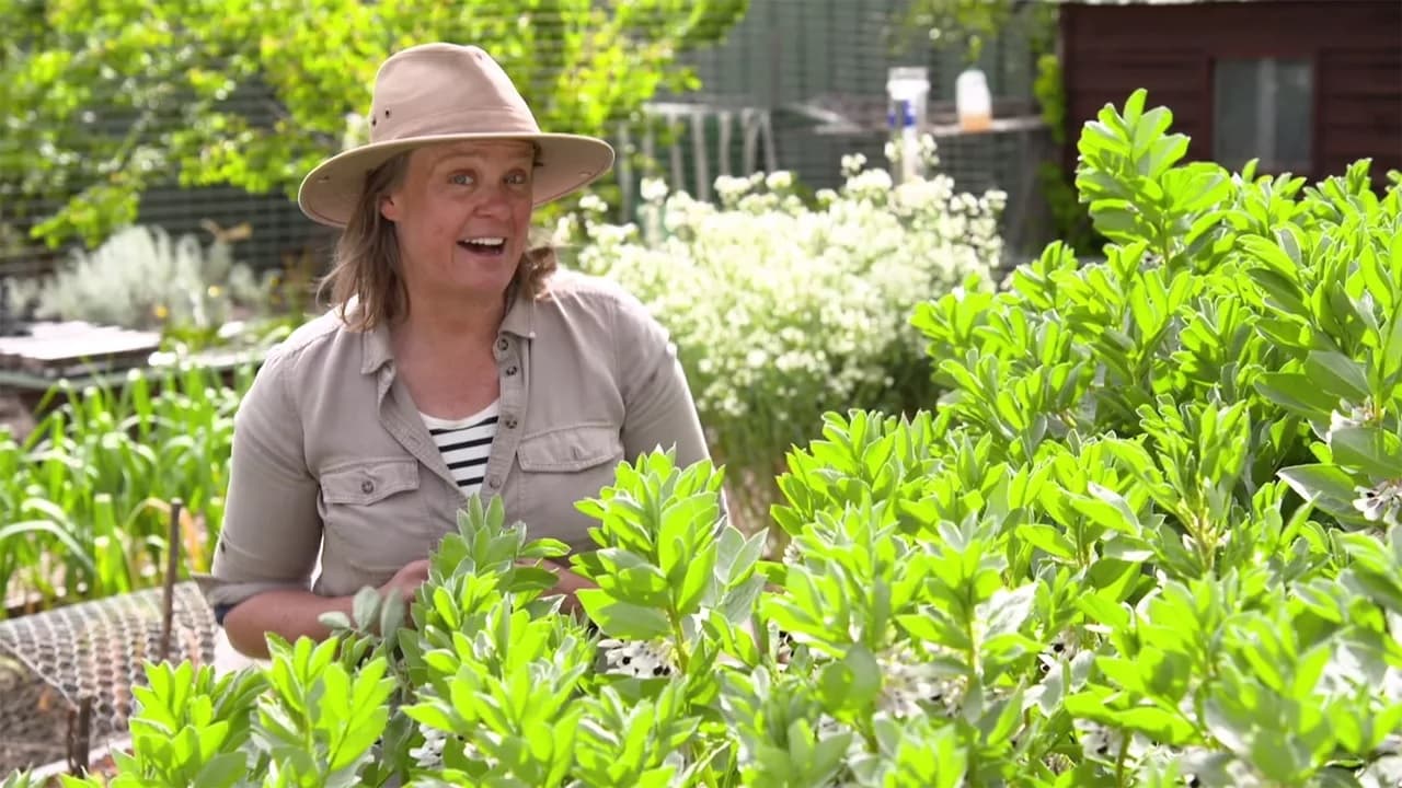 Gardening Australia - Season 33 Episode 2 : Episode 2 Urban Heat, Seed Saving, Figs & Compost