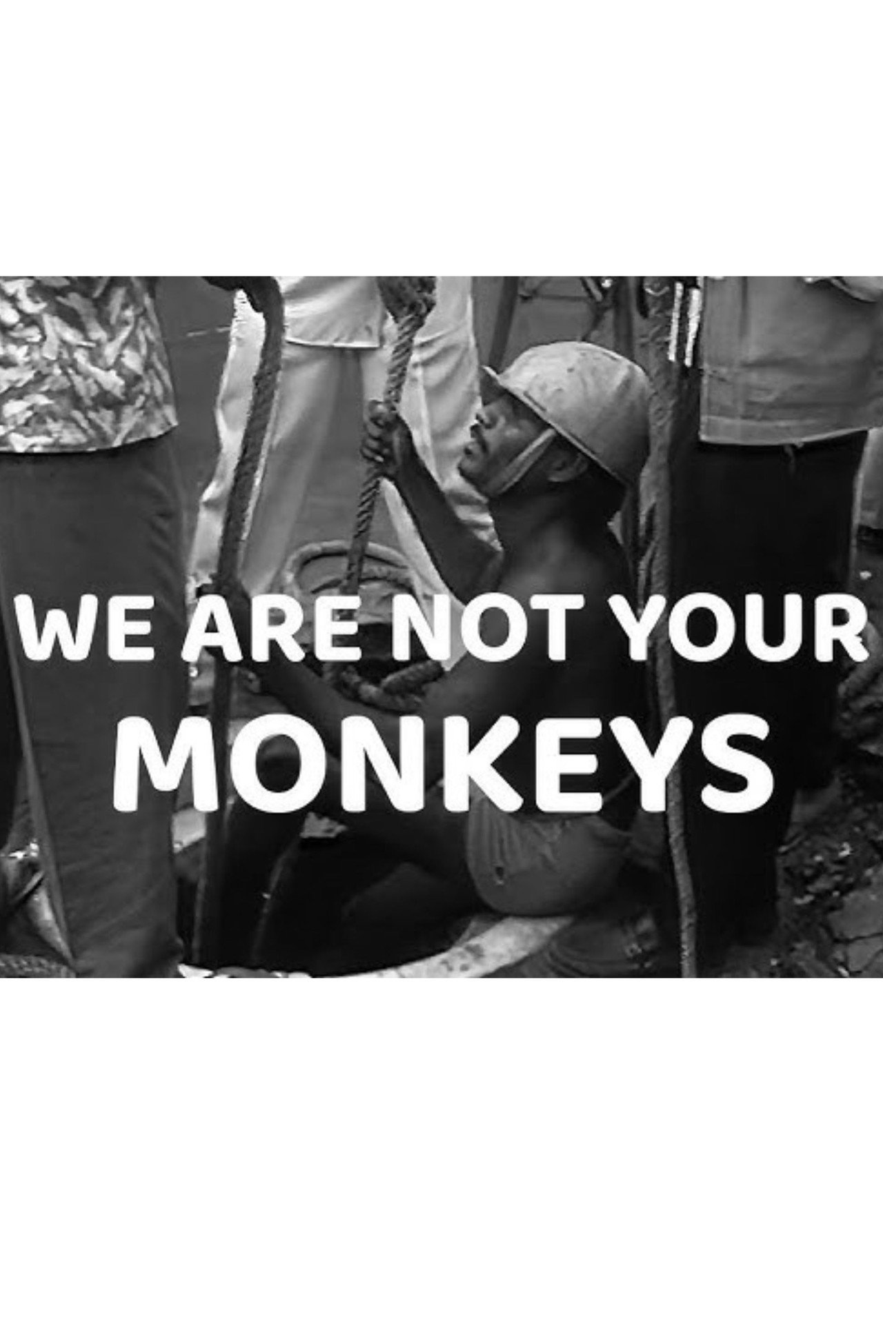 We Are Not Your Monkeys filmaffisch