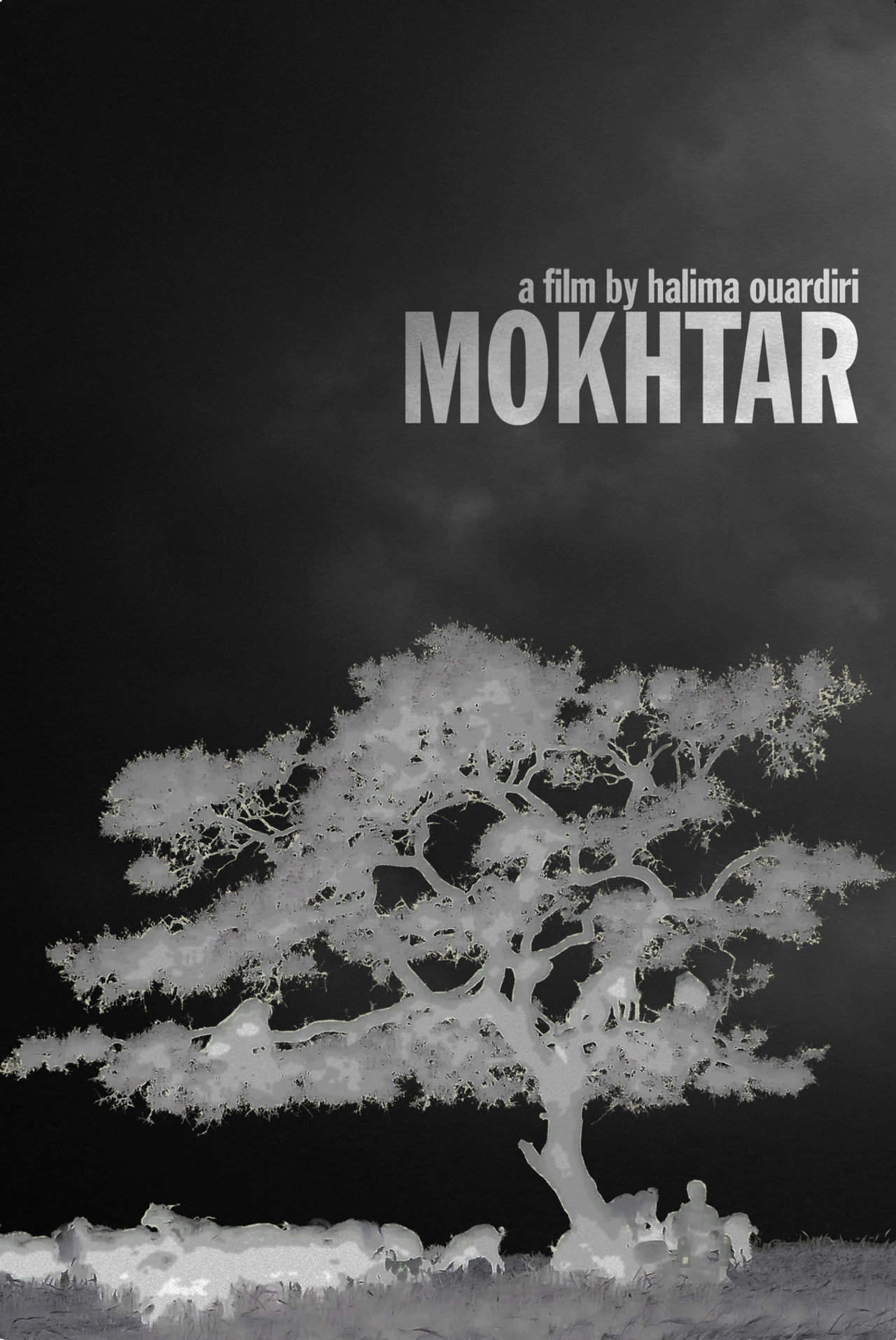 Mokhtar filmaffisch