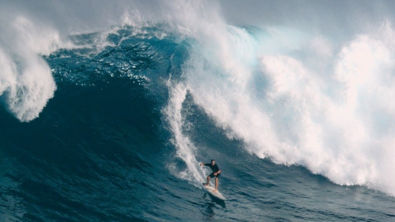 Yard. Big Wave Backdrop Image