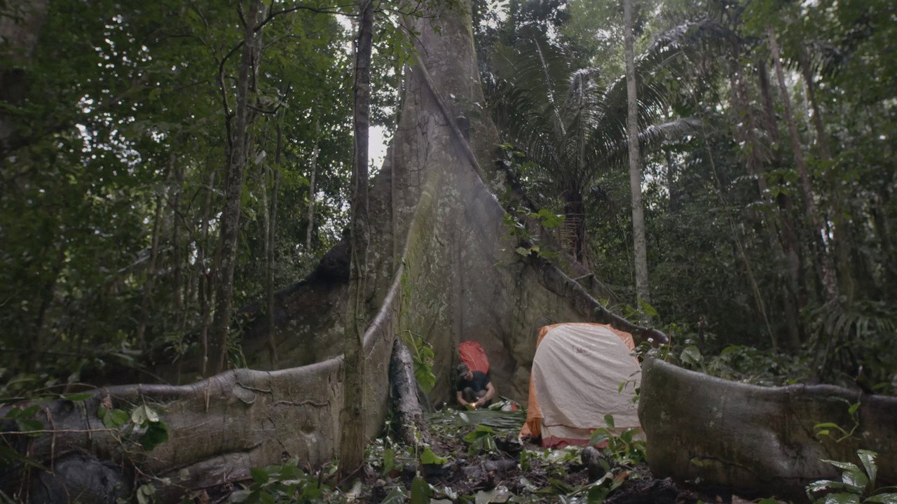 Immagine di copertina del trailer di Dark Green