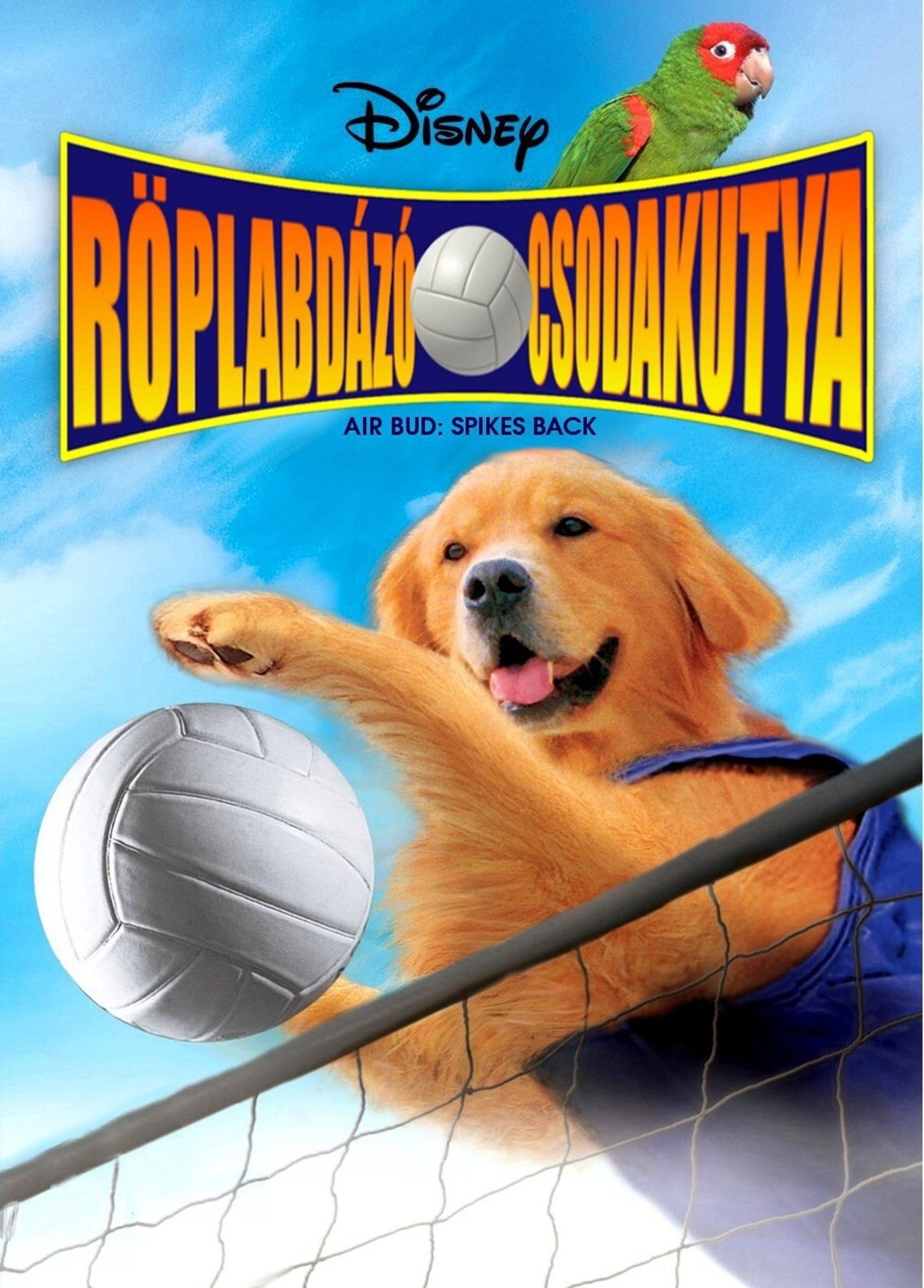 Röplabdázó csodakutya – plakát 4
