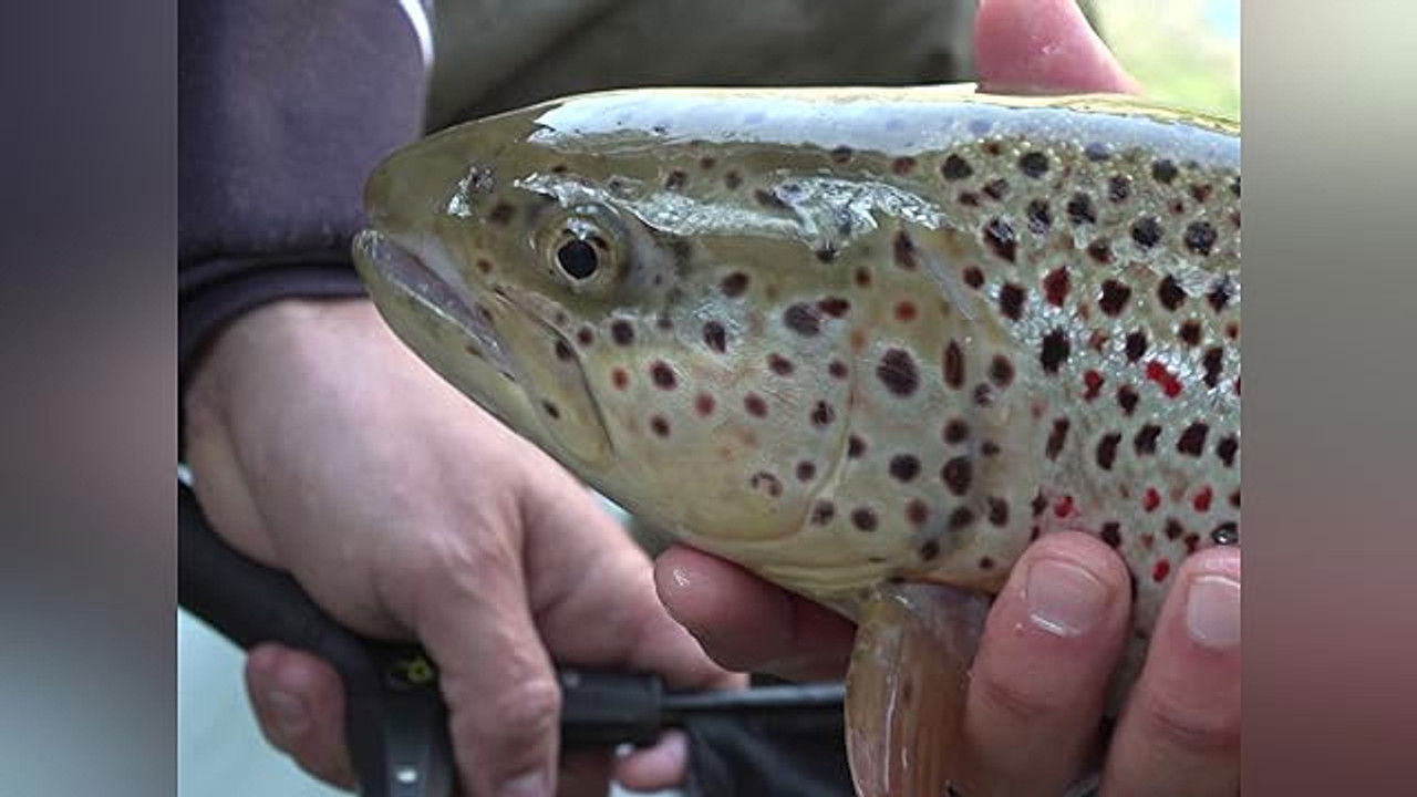 Destinazione Pesca — Épisode 5