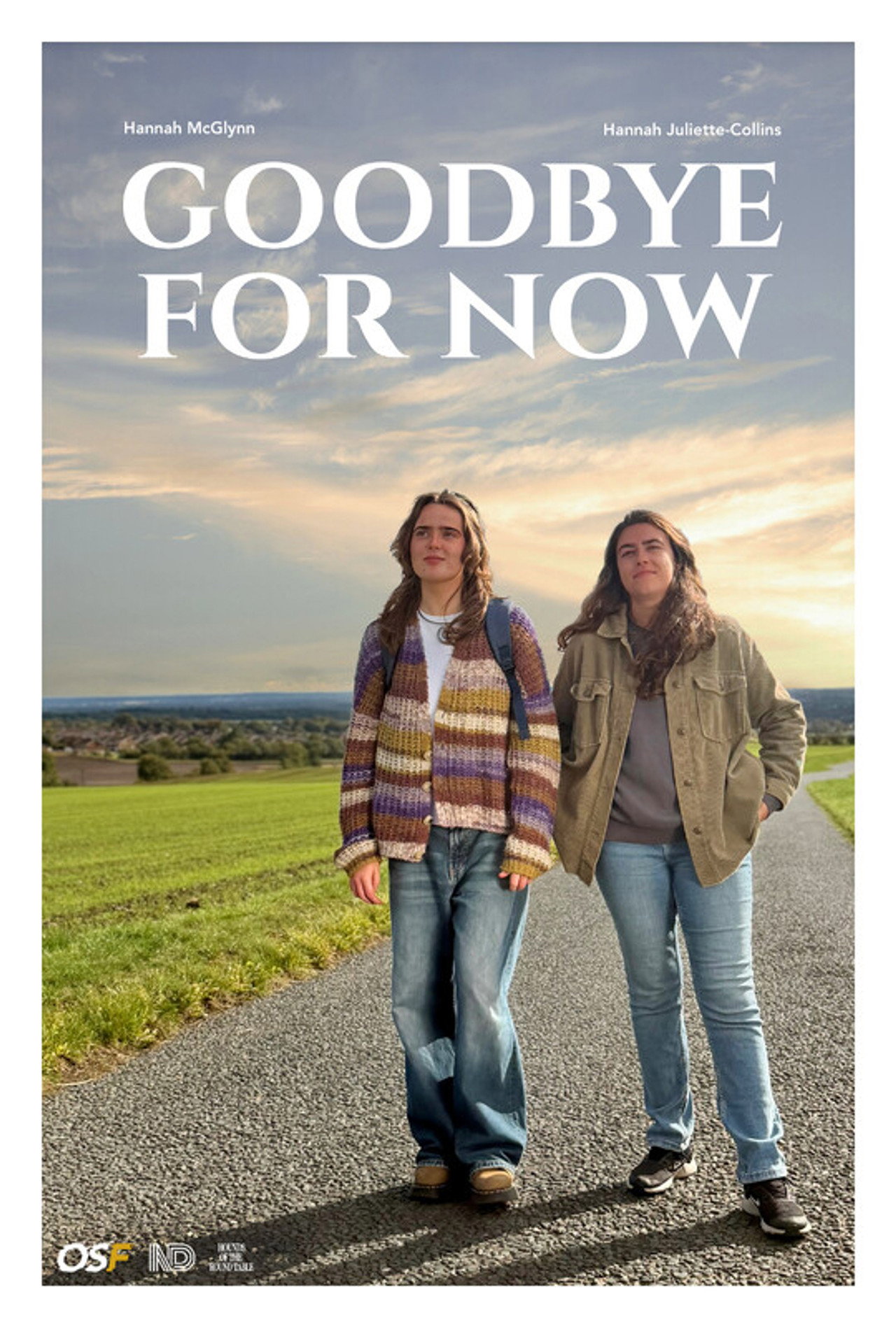 Goodbye for Now poster