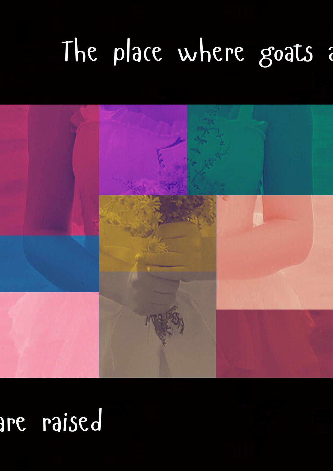 The place where goats are raised poster