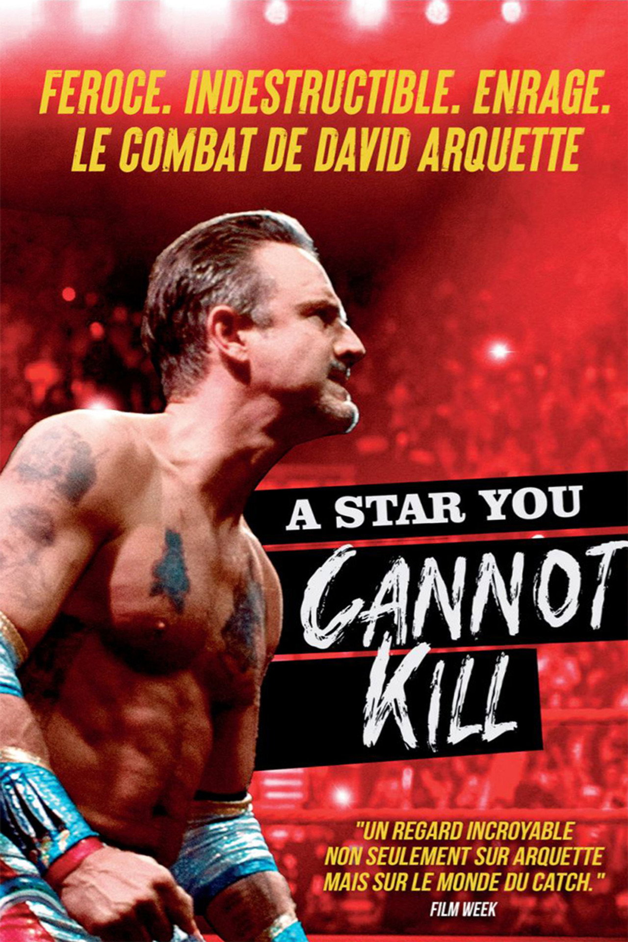 A Star You Cannot Kill poster