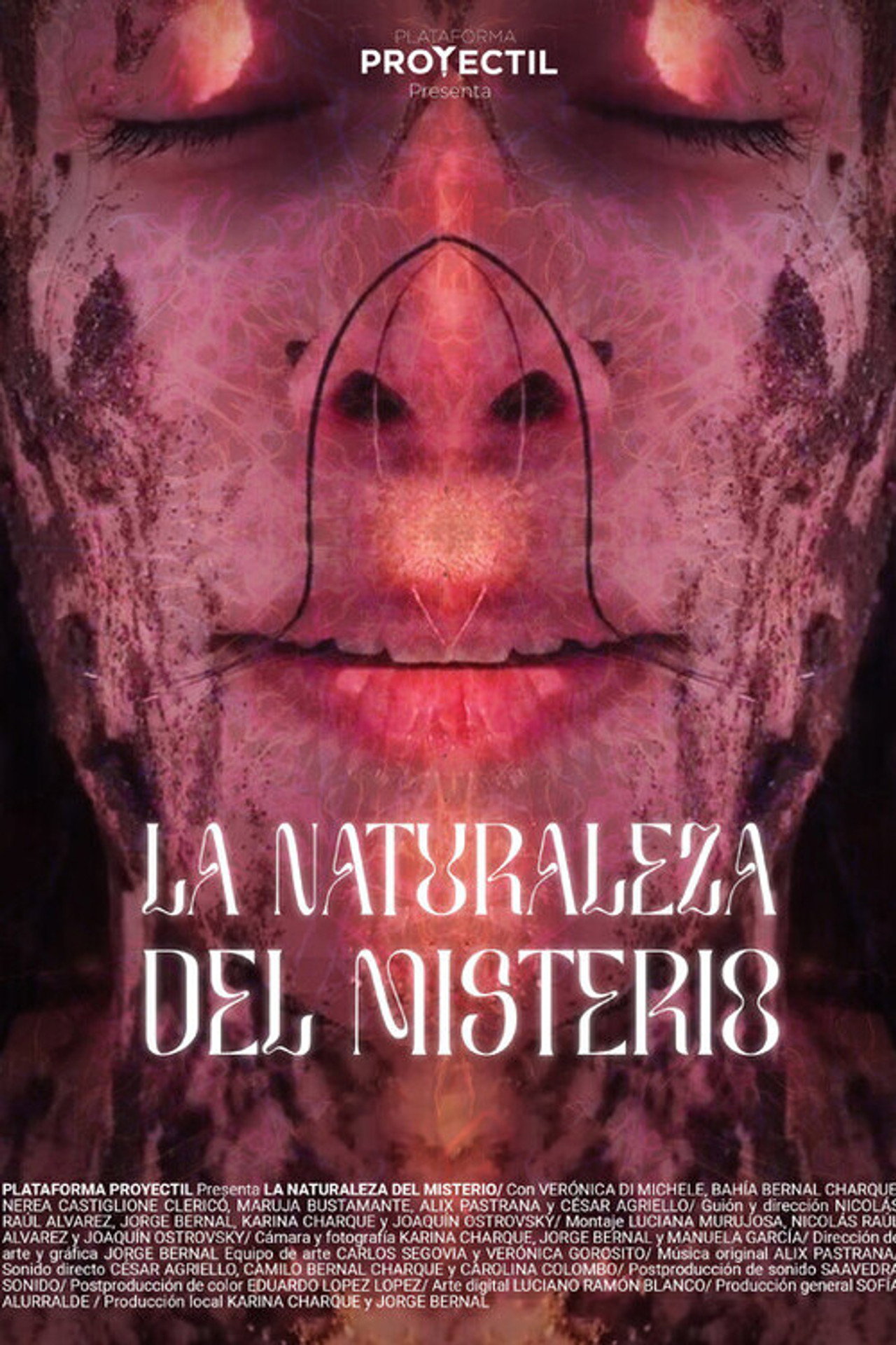 La naturaleza del misterio filmaffisch