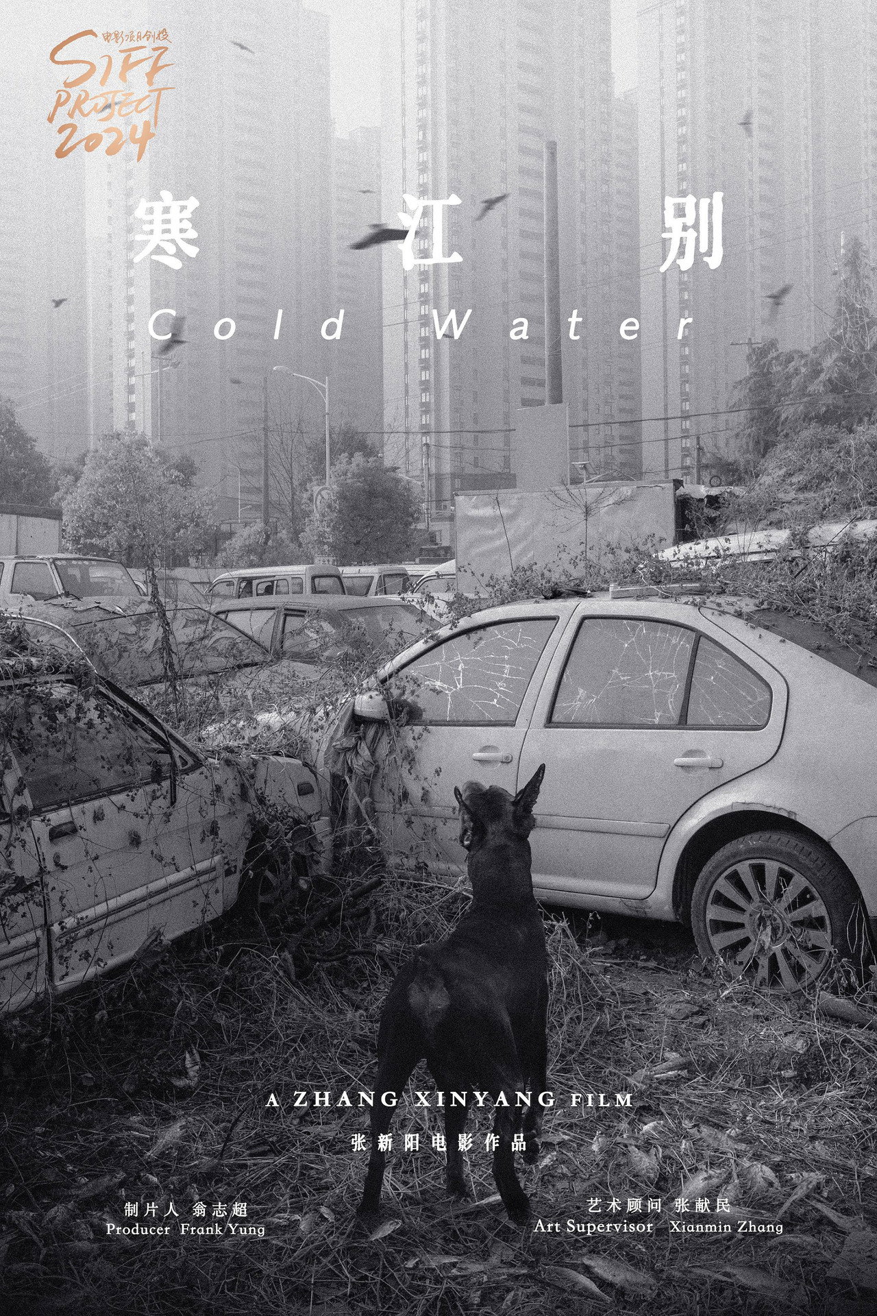 伤寒杂病论 filmaffisch