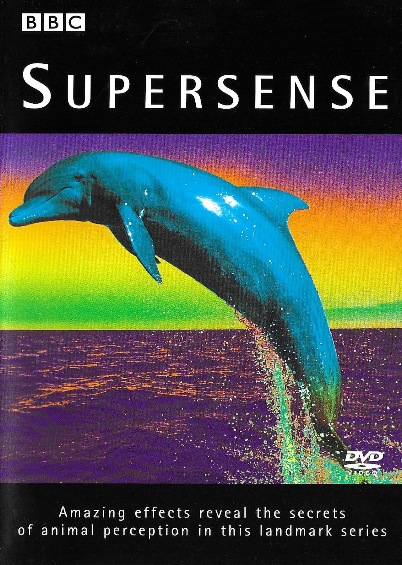 Supersensë backdrop