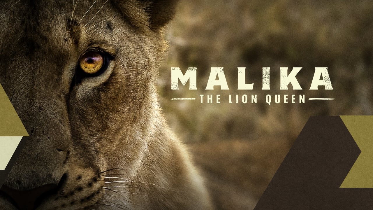 Malika the Lion Queen background