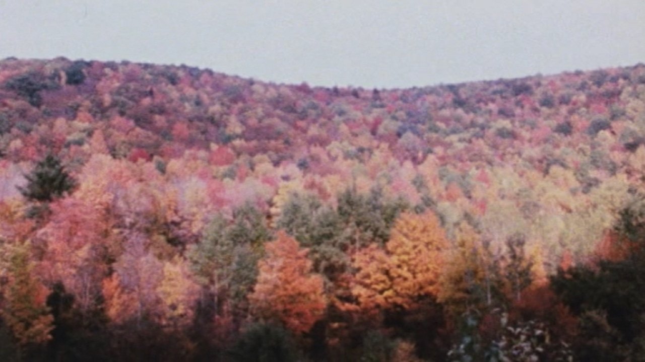 title image