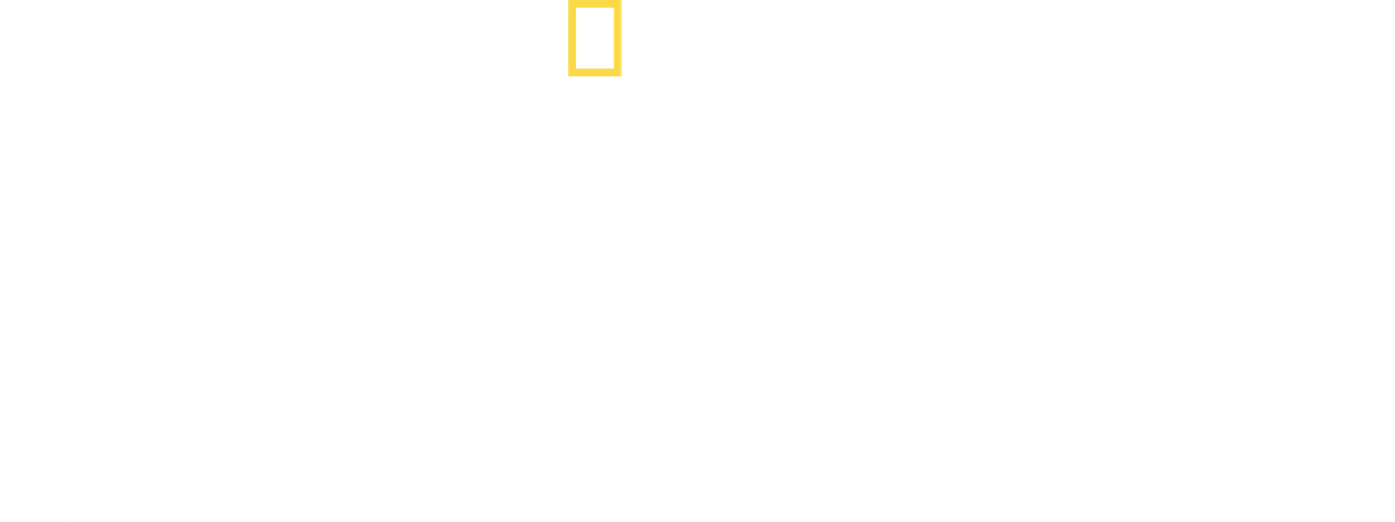Shark Attack Investigation: The Paige Winter Story