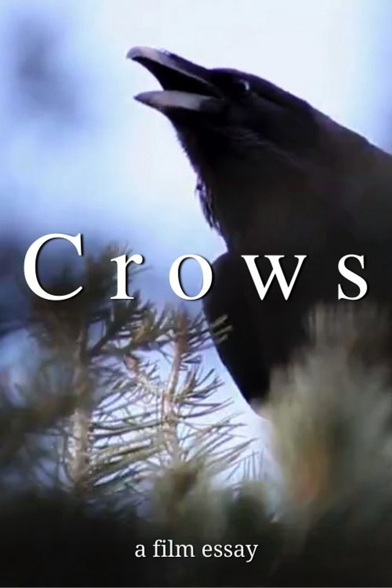 Crows - A film essay filmaffisch