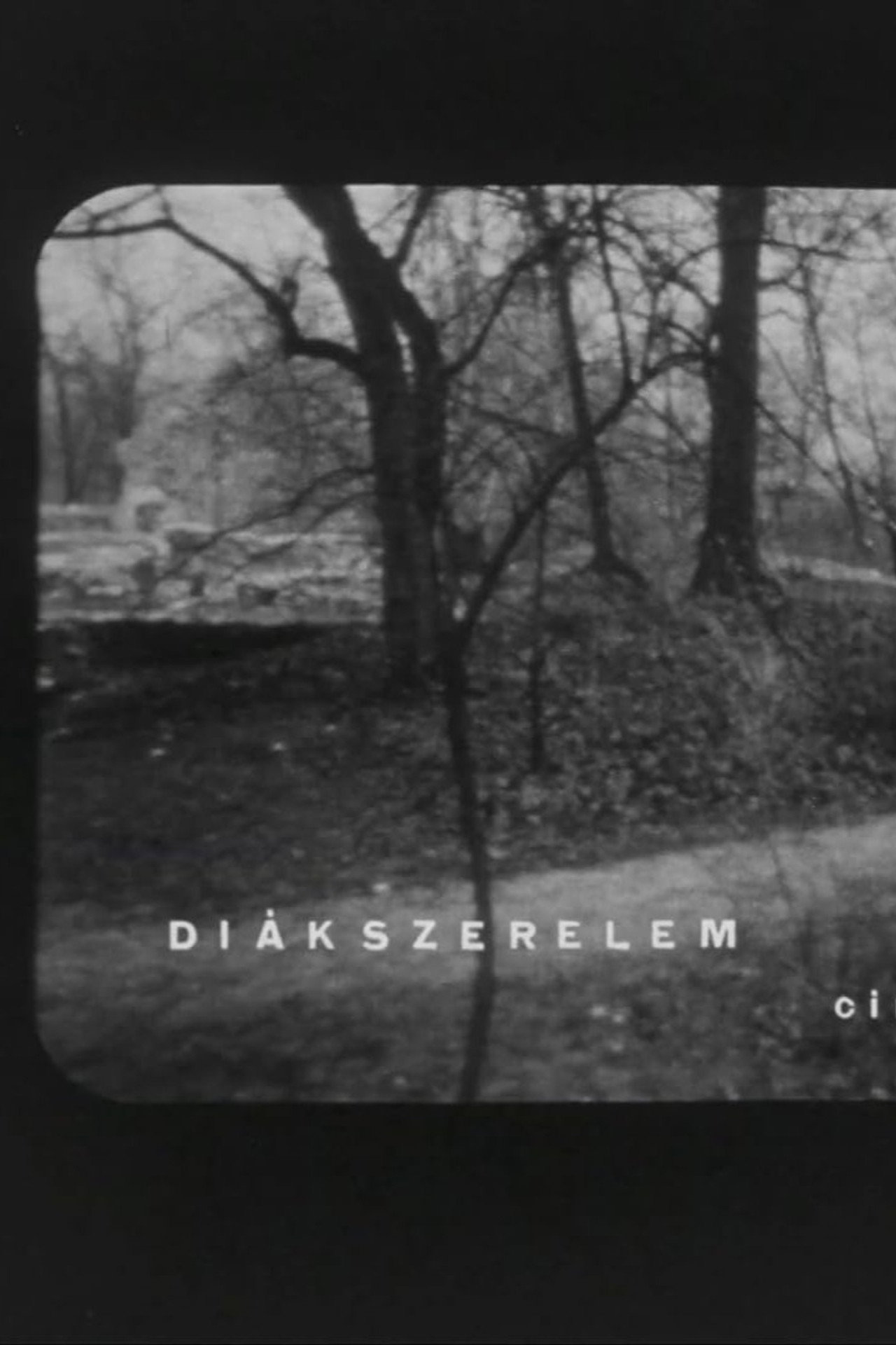 Diákszerelem