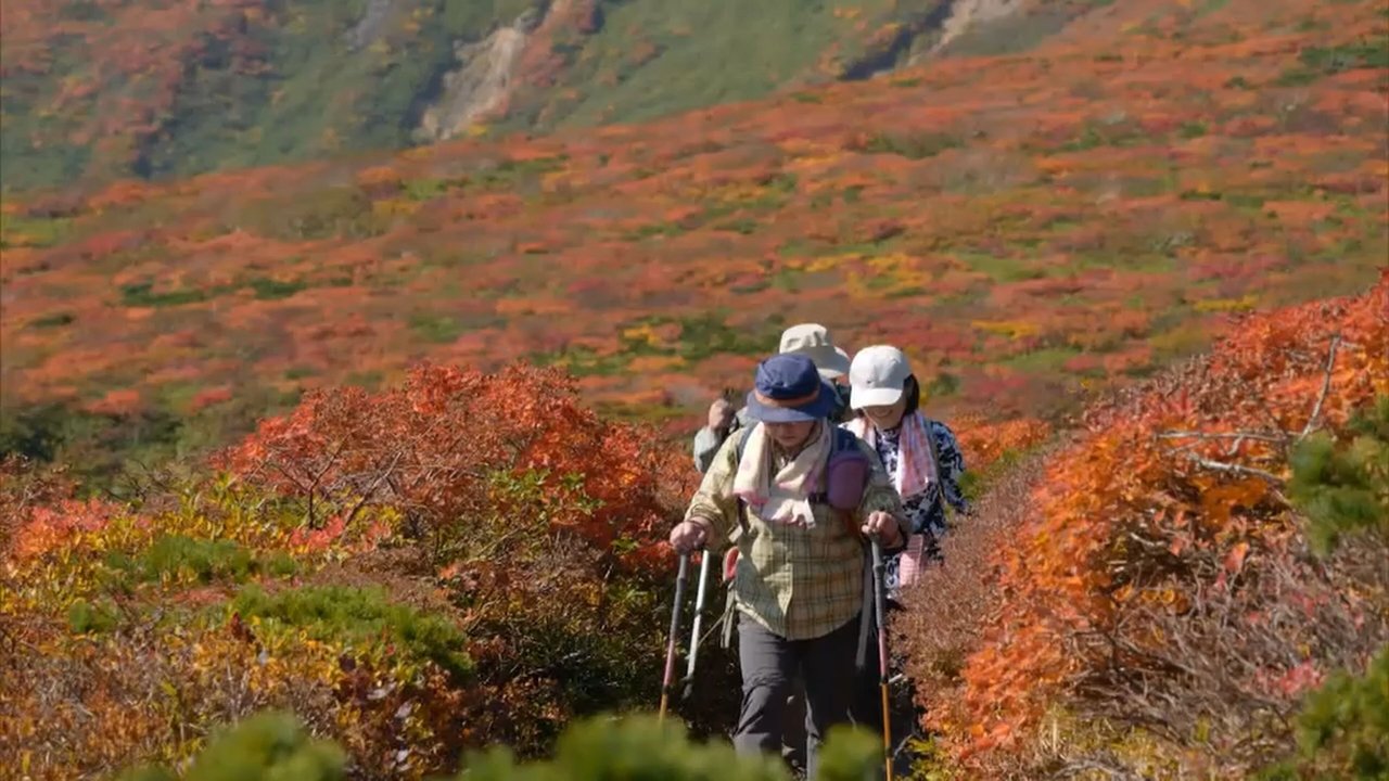 小さな旅 - Season 1 Episode 10136 : Episode 10136
