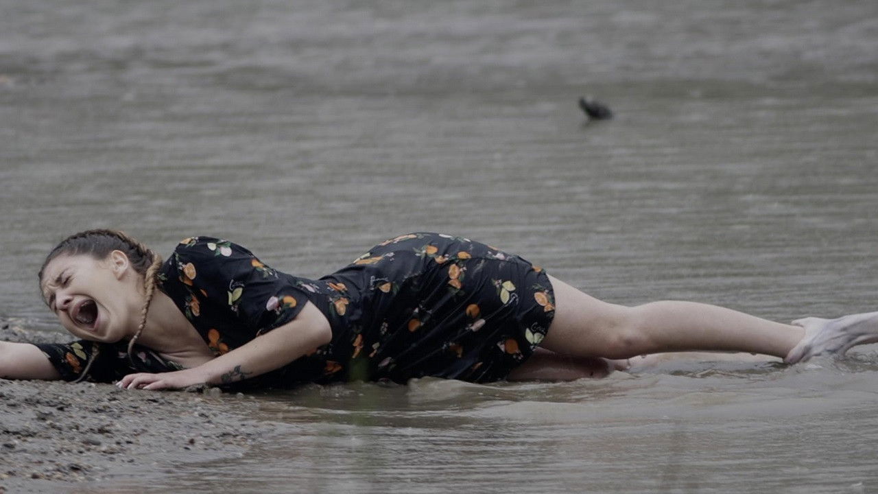 Kísértés az erdő mélyén - "A Megtört Fény" backdrop