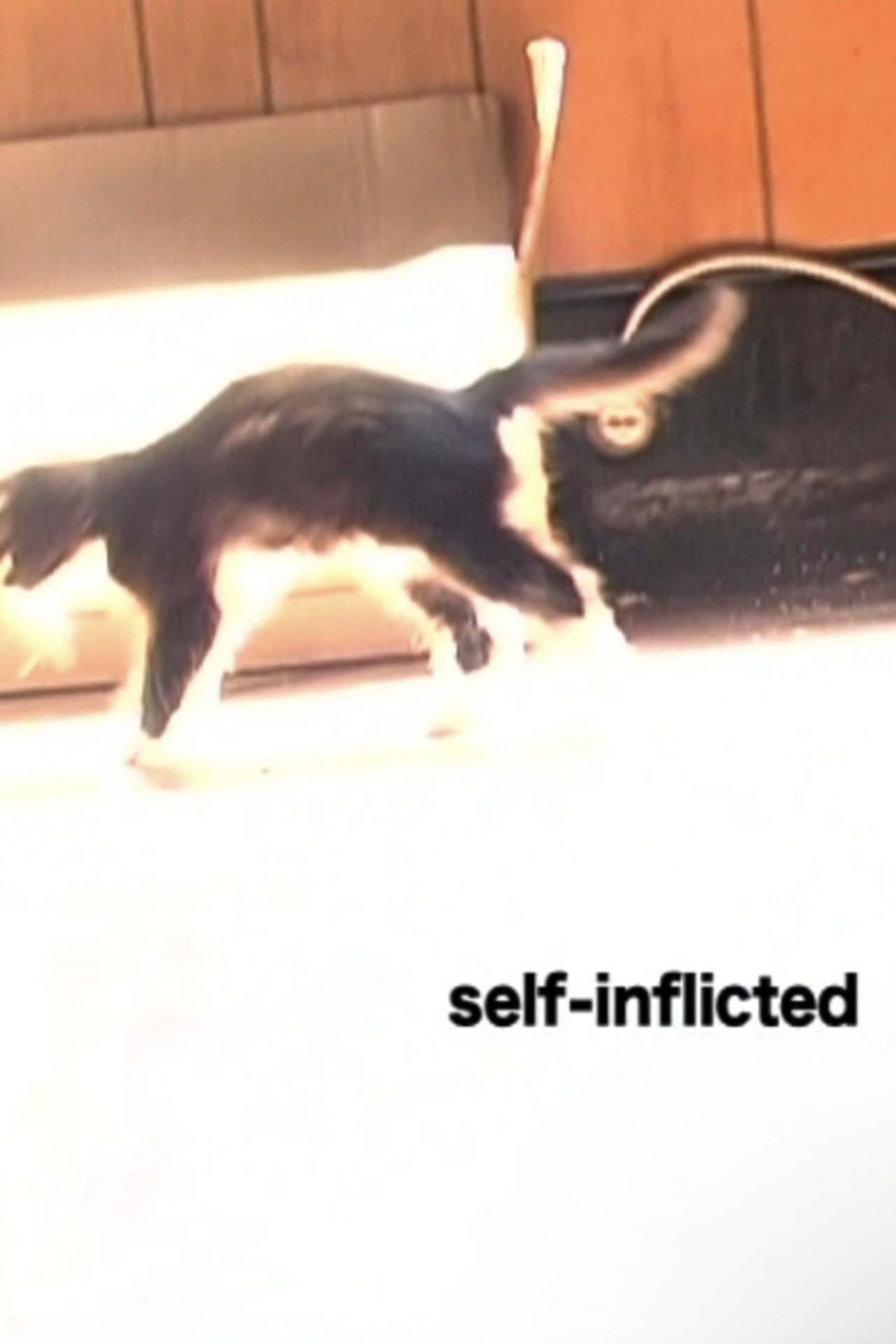 Self-Inflicted