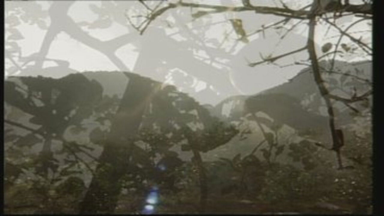 和平的代价 — Épisode 26