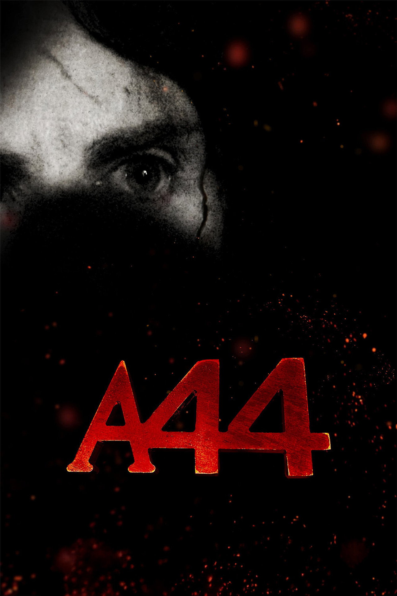 posters 5