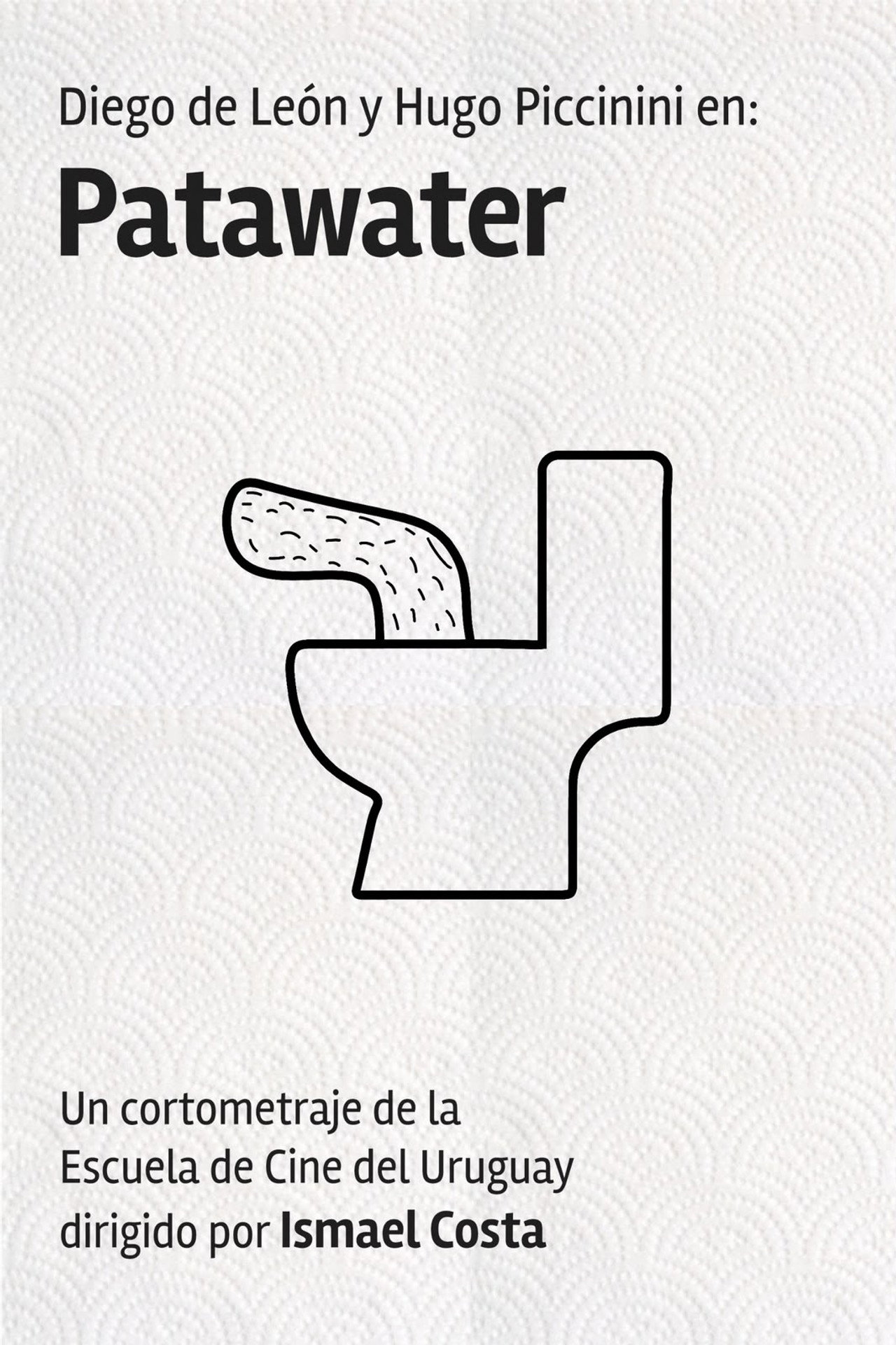 Patawater poster