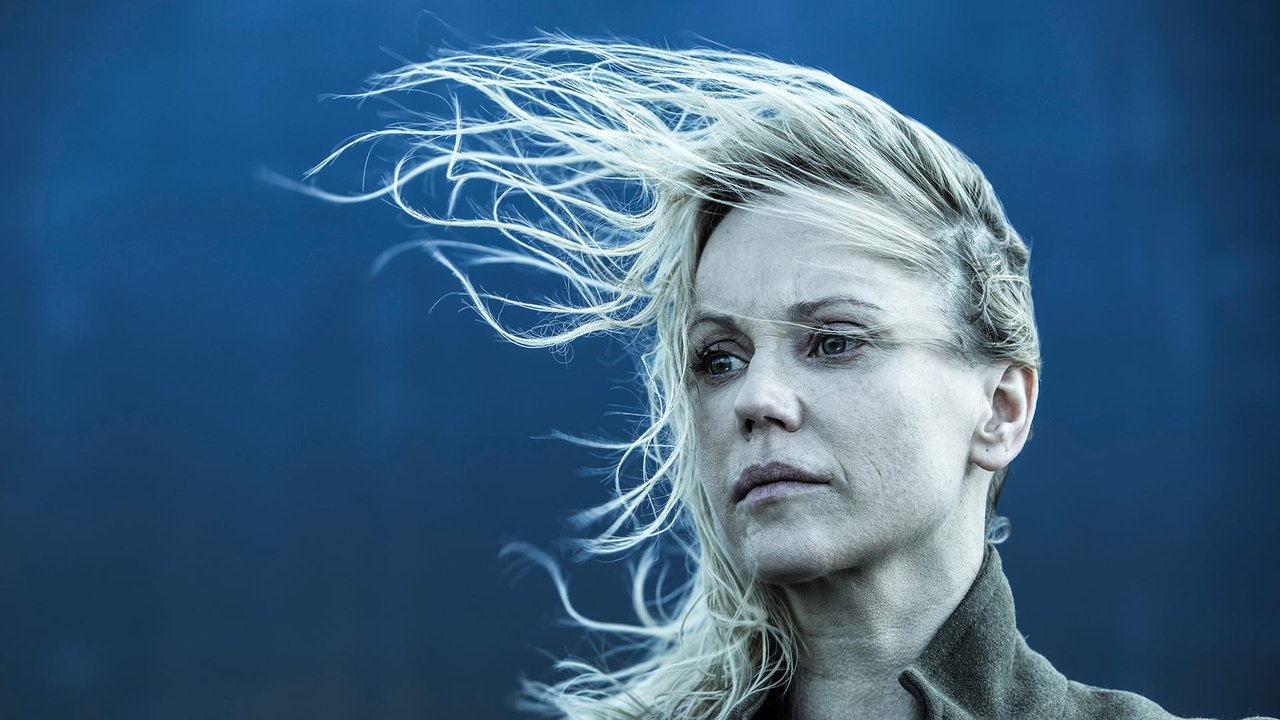 The Bridge - Season 4 Episode 8 : Episode 8