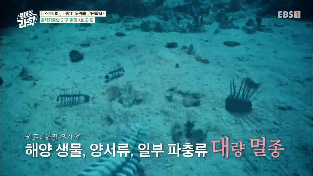 취미는 과학 - Season 1 Episode 5 : Episode 5