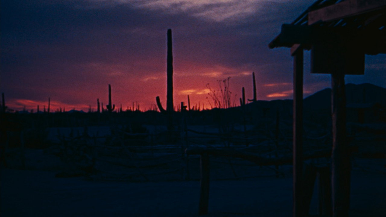 Rio Bravo background 45