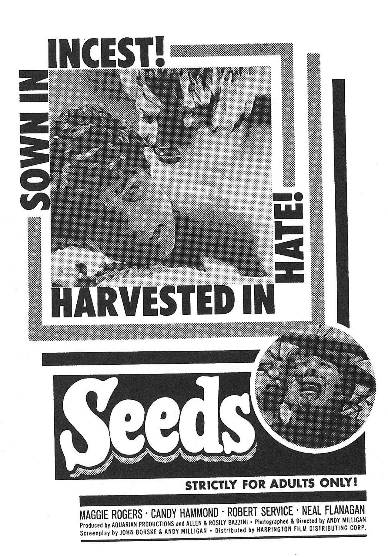 Seeds