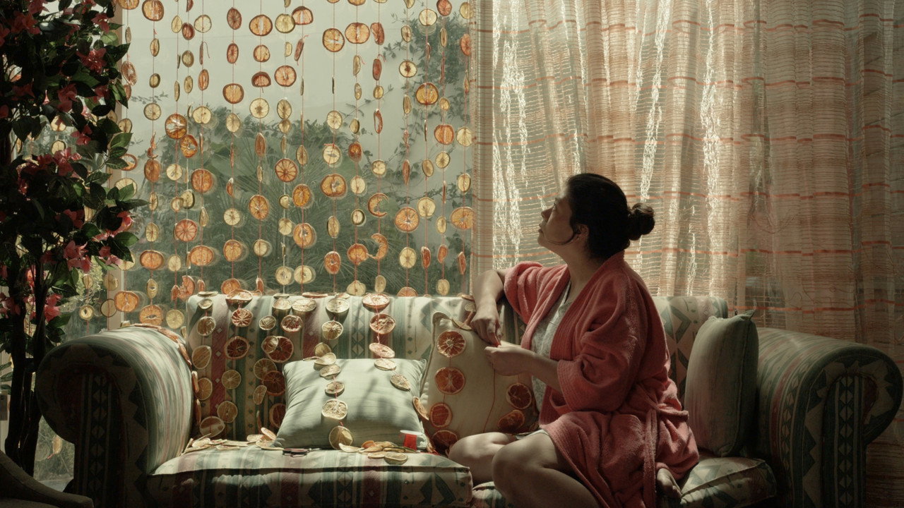 Pulpa still 3