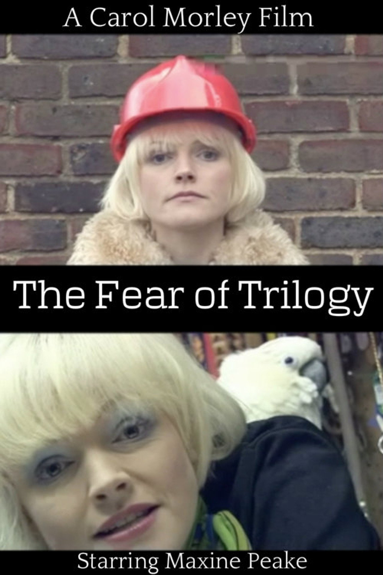 The Fear of Trilogy filmaffisch